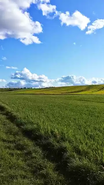 Free download Sky Grass Sunshine -  free photo or picture to be edited with GIMP online image editor