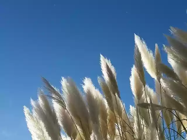 Free download Sky Spikes -  free photo or picture to be edited with GIMP online image editor