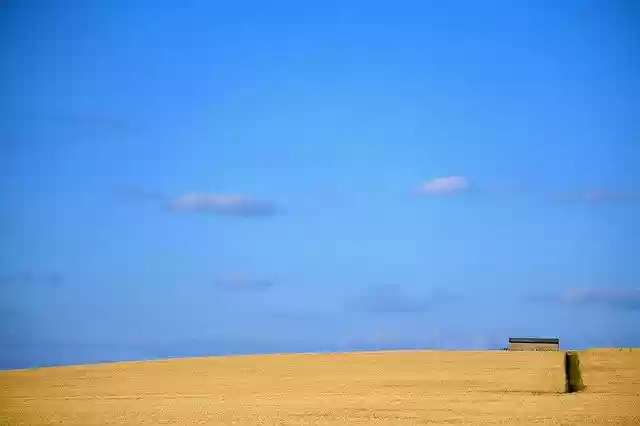 Free download Sky Summer Cereals -  free free photo or picture to be edited with GIMP online image editor