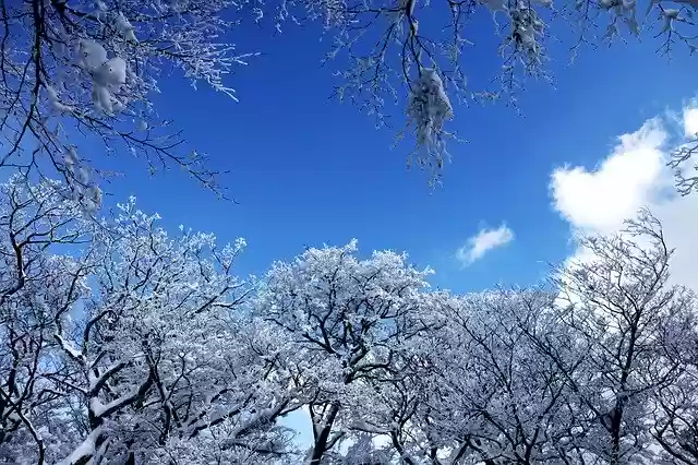 Free download Sky Wood -  free photo or picture to be edited with GIMP online image editor