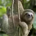 Slackr  screen for extension Chrome web store in OffiDocs Chromium