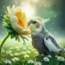 Small birds and daisies wallpaper  screen for extension Chrome web store in OffiDocs Chromium