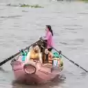 Small boats and tourists  screen for extension Chrome web store in OffiDocs Chromium