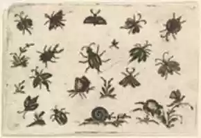 Free download Small Motifs of Insects and Plants free photo or picture to be edited with GIMP online image editor