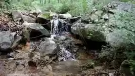 Free download Small Stream Minimal -  free video to be edited with OpenShot online video editor