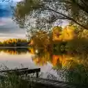 Small wooden bridge by the lake  screen for extension Chrome web store in OffiDocs Chromium