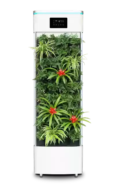 Free download Smart Plant Purifier Air -  free illustration to be edited with GIMP free online image editor