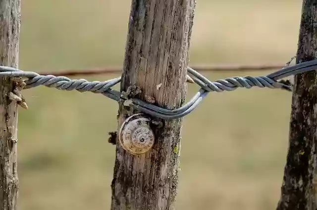 Free download Snail Nature Animal -  free photo or picture to be edited with GIMP online image editor