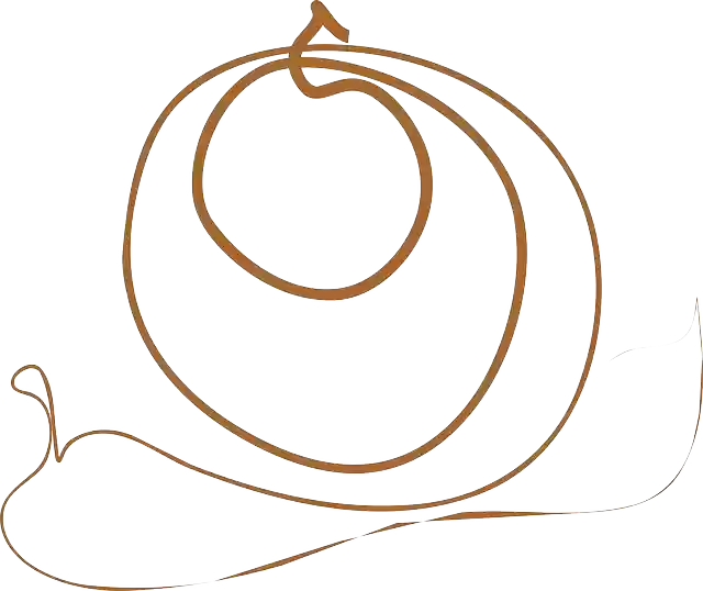 Free download Snail Shell Abstract - Free vector graphic on Pixabay free illustration to be edited with GIMP free online image editor