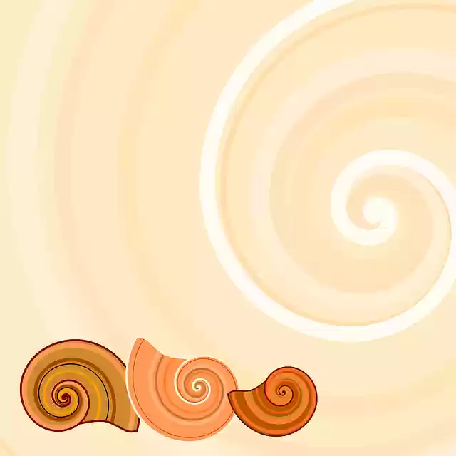 Free download Snail Shells -  free illustration to be edited with GIMP free online image editor