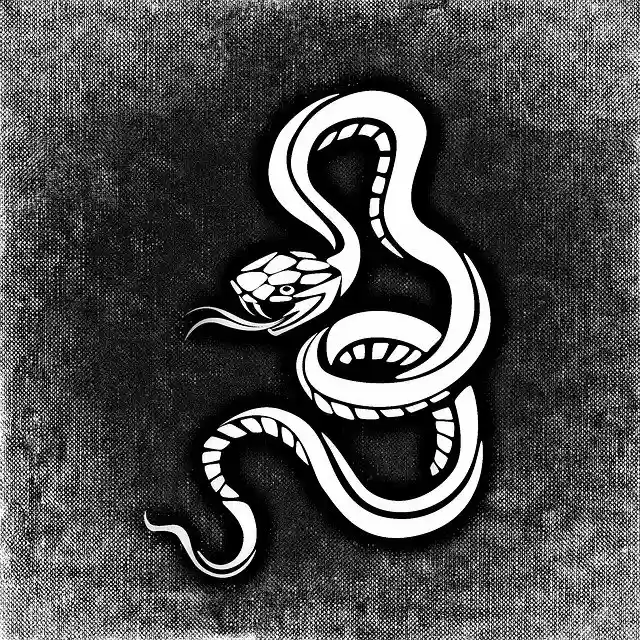 Free download Snake Dangerous Background Black -  free illustration to be edited with GIMP free online image editor