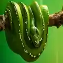 Ekran motywu SNAKE dla rozszerzenia sklepu internetowego Chrome w OffiDocs Chromium