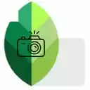 Snapseed for Chrome  screen for extension Chrome web store in OffiDocs Chromium