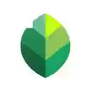 Snapseed for Pc,Windows and Mac (Free Download)  screen for extension Chrome web store in OffiDocs Chromium