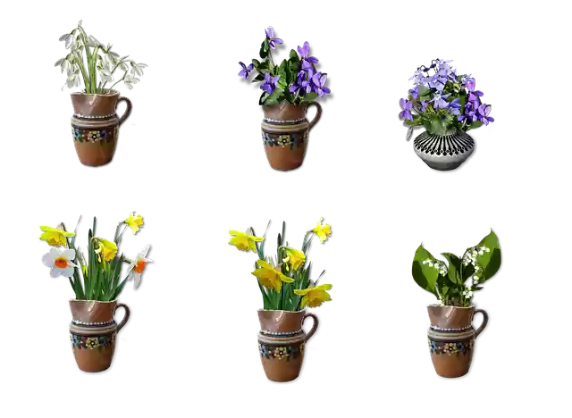 Free download Snowdrop Violet Spring -  free illustration to be edited with GIMP online image editor