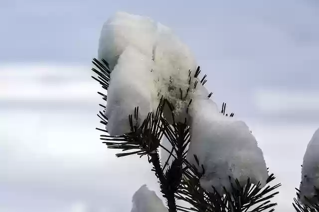 Бесплатно скачайте бесплатный шаблон фотографии Snow Icy Frozen для редактирования с помощью онлайн-редактора изображений GIMP