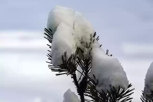 Muat turun percuma templat foto percuma Snow Icy Frozen untuk diedit dengan editor imej dalam talian GIMP