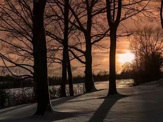 Free download Snow Landscape Trees Wintry -  free photo or picture to be edited with GIMP online image editor