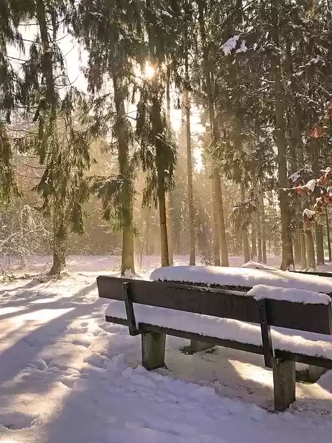 Free download Snow Thaw Melt -  free photo or picture to be edited with GIMP online image editor