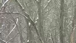 Free download Snow White Weather -  free video to be edited with OpenShot online video editor
