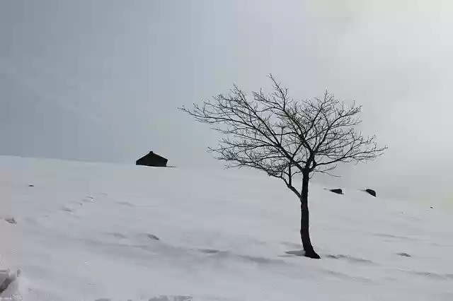 Kostenloser Download der kostenlosen Schnee-Winter-Landschaft-Fotovorlage, die mit dem GIMP-Online-Bildeditor bearbeitet werden kann