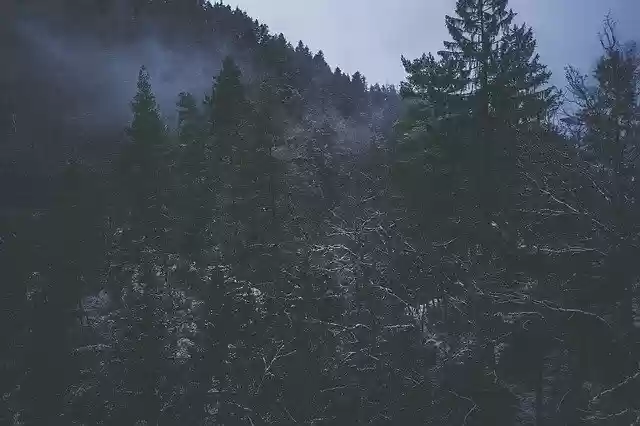 Free download Snow Winter Wintry -  free photo or picture to be edited with GIMP online image editor