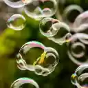 SOAP FOAM Theme  screen for extension Chrome web store in OffiDocs Chromium