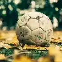 Soccer Ball On Leaft Field Autumn  screen for extension Chrome web store in OffiDocs Chromium