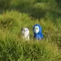 Free download Soch -Vineet Saini free photo or picture to be edited with GIMP online image editor