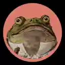 Social Toad  screen for extension Chrome web store in OffiDocs Chromium
