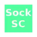Socks Size Conversion  screen for extension Chrome web store in OffiDocs Chromium