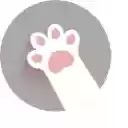 Socrate Dog  screen for extension Chrome web store in OffiDocs Chromium