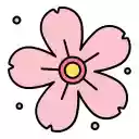 Soft White Blossoms  screen for extension Chrome web store in OffiDocs Chromium