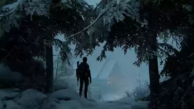 Free download soldier snow trees forest free picture to be edited with GIMP free online image editor