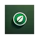 Solid Green theme  screen for extension Chrome web store in OffiDocs Chromium