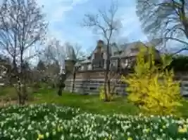 Free download sonnenberg-orchid-show free photo or picture to be edited with GIMP online image editor