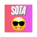 SOTA blocker  screen for extension Chrome web store in OffiDocs Chromium