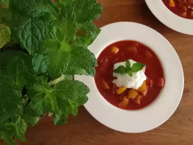 Free download Soup Tomato Basil -  free photo or picture to be edited with GIMP online image editor