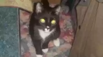 Free download souvenir 27 free photo or picture to be edited with GIMP online image editor