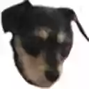 Space Baloney  screen for extension Chrome web store in OffiDocs Chromium