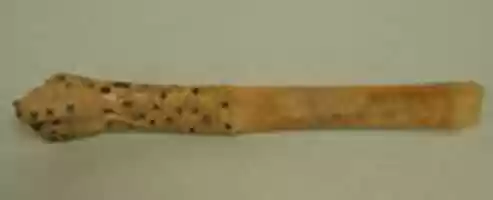 Free download Spatula in the Form of a Hand free photo or picture to be edited with GIMP online image editor