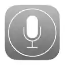 SpeechFlow  screen for extension Chrome web store in OffiDocs Chromium