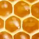 Spelling Bee Grid  screen for extension Chrome web store in OffiDocs Chromium