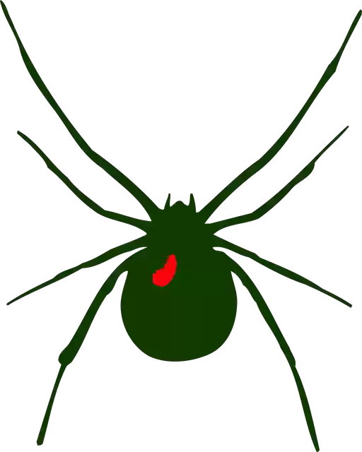 Free download Spider Green Insect -  free illustration to be edited with GIMP free online image editor
