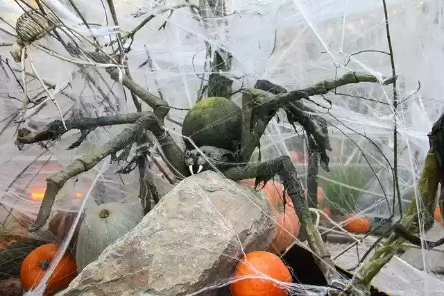 Free download Spider Halloween Decoration -  free photo or picture to be edited with GIMP online image editor