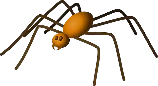 Free download Spider Insect Bug - Free vector graphic on Pixabay free illustration to be edited with GIMP free online image editor