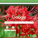 Spider Lily  screen for extension Chrome web store in OffiDocs Chromium