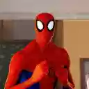 Spiderverse  screen for extension Chrome web store in OffiDocs Chromium