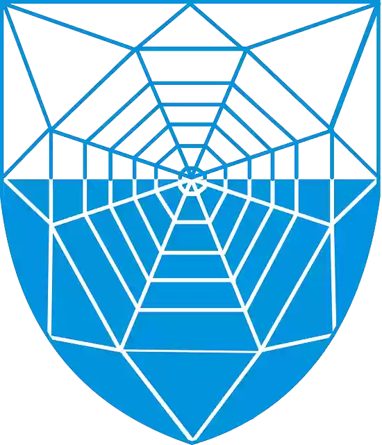 Free download Spider Web Coat - Free vector graphic on Pixabay free illustration to be edited with GIMP free online image editor