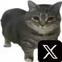 Spinning Cat (OIIA) Button For X  screen for extension Chrome web store in OffiDocs Chromium